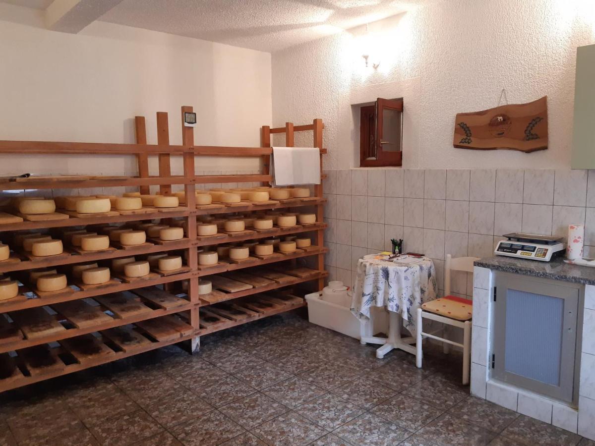 פג Apartments By The Sea Pag - 16100 מראה חיצוני תמונה